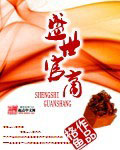 盛世官商 cover 封面