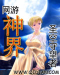網(wǎng)游神界 cover 封面