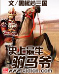 史上最牛駙馬爺 cover 封面