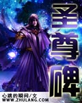 圣尊碑 cover 封面