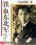 鐵血東北軍 cover 封面