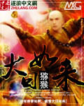 大日如來 cover 封面