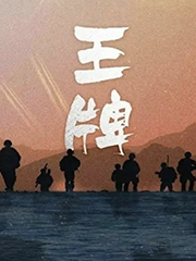 王牌 cover 封面