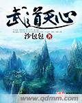 武道天心 cover 封面