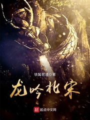 龍吟北宋 cover 封面