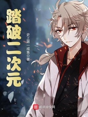 踏破二次元 cover 封面
