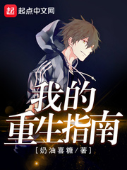 我的重生指南 cover 封面