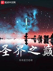 圣界之巔 cover 封面