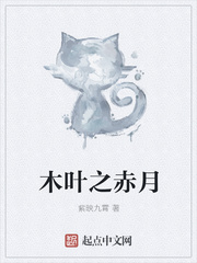 木葉之赤月 cover 封面