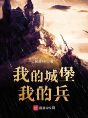 我的城堡我的兵 cover 封面