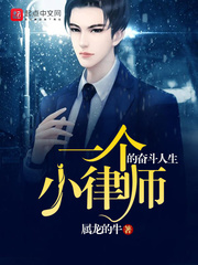 一個小律師的奮斗人生 cover 封面