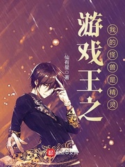 游戲王之我的怪獸是精靈 cover 封面