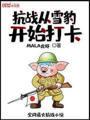 抗戰(zhàn)從雪豹開始打卡 cover 封面
