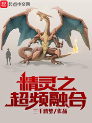 精靈之超頻融合 cover 封面