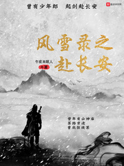 風雪錄之赴長安 cover 封面
