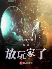 我要放玩家了 cover 封面