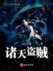 諸天盜賊 cover 封面