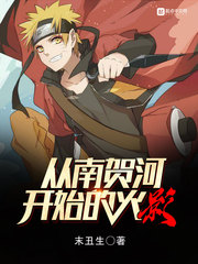 從南賀河開始的火影 cover 封面