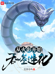 從火影開始吞噬進化 cover 封面