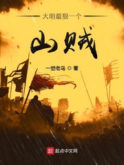 大明最狠一個山賊 cover 封面