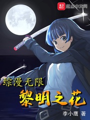綜漫無限黎明之花 cover 封面