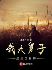 我大舅子是三國名將 cover 封面