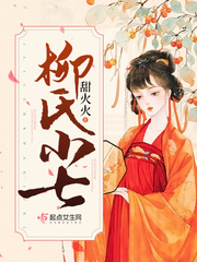柳氏小七 cover 封面