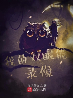 我的雙眼能錄像 cover 封面