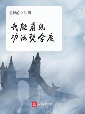 我能看見功法契合度 cover 封面