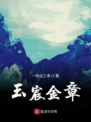 玉宸金章 cover 封面