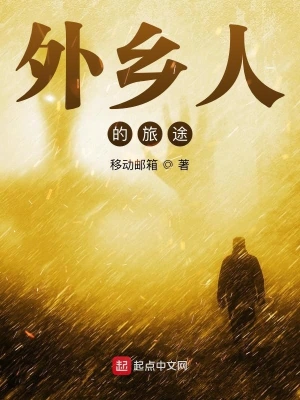 外鄉(xiāng)人的旅途