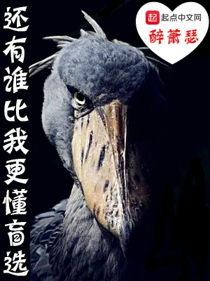 還有誰比我更懂盲選 cover 封面
