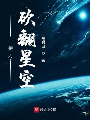 一把刀砍翻星空 cover 封面