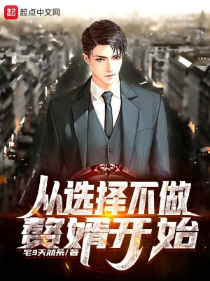 從選擇不做贅婿開始 cover 封面