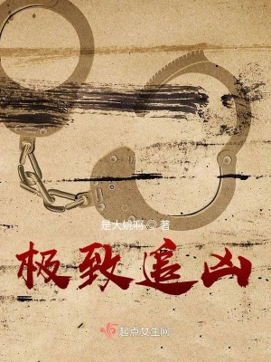 極致追兇 cover 封面