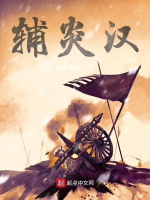輔炎漢 cover 封面