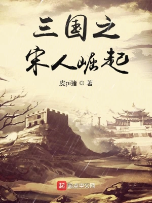 三國之宋人崛起 cover 封面