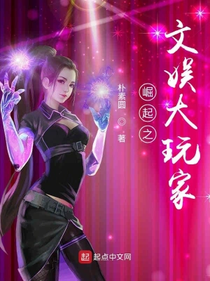 崛起之文娛大玩家 cover 封面