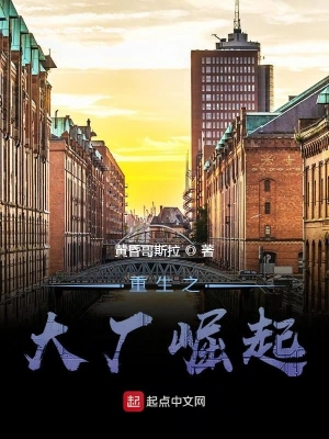 重生之大廠崛起 cover 封面