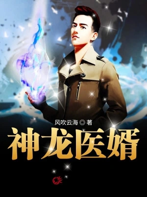 神龍醫婿 cover 封面