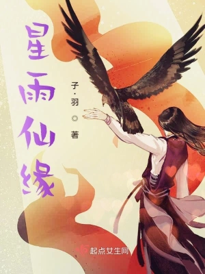 星雨仙緣 cover 封面