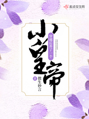 穿越后養(yǎng)了一個(gè)小皇帝 cover 封面