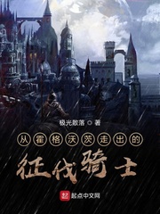 從霍格沃茨走出的征伐騎士 cover 封面
