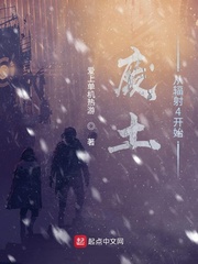 廢土從輻射4開始 cover 封面