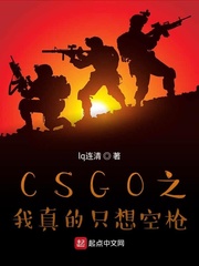 CSGO之我真的只想空槍 cover 封面