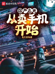 國產之光：從賣手機開始 cover 封面