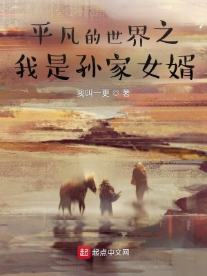 平凡的世界之我是孫家女婿 cover 封面